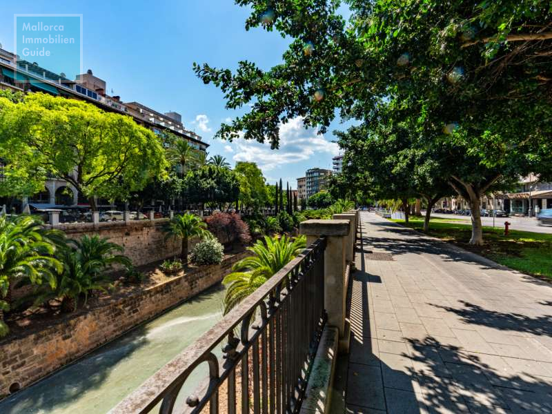 Wohnung Mallorca kaufen: Große Auswahl, günstige Preise 3