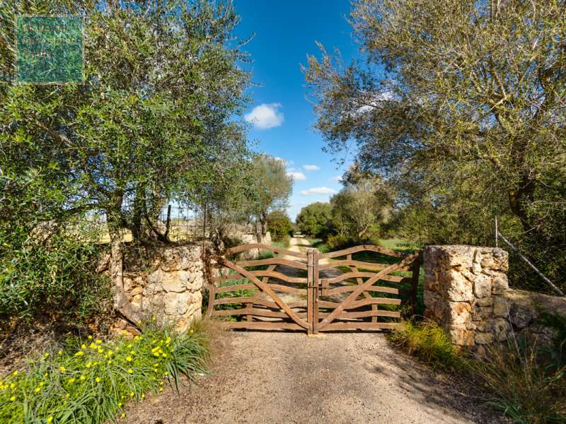 Finca for sale in Mallorca: top offers starting at  275.000 2