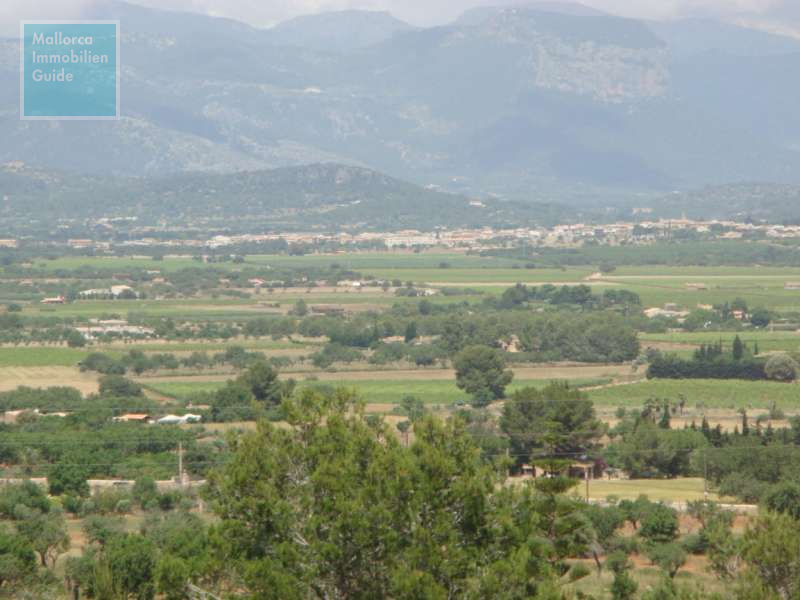 Grundstück, Ses Coves: Bebaubares Grundstück in bester Lage mit Blick - 7