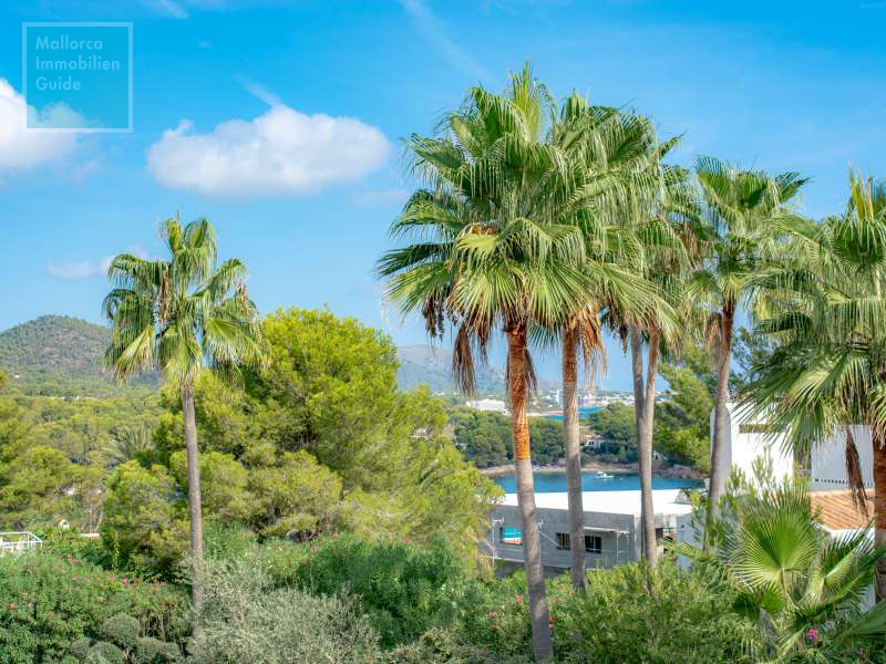 Espléndida villa de 5 dormitorios, piscina y fantástico jardín cerca del mar  - 11