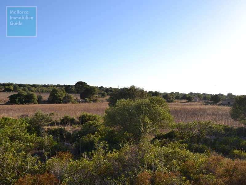 Bonito terreno edificable cerca de Ses Salines - 1