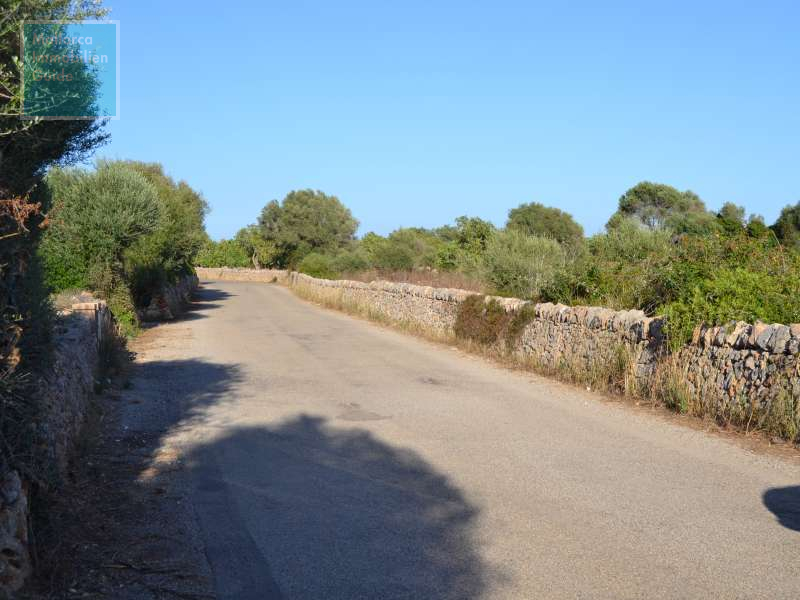 Bonito terreno edificable cerca de Ses Salines - 2
