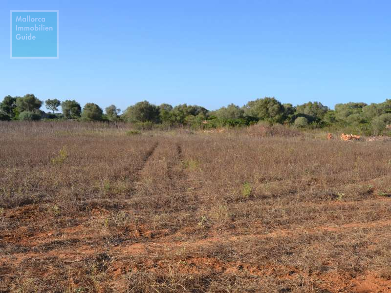 Bonito terreno edificable cerca de Ses Salines - 4