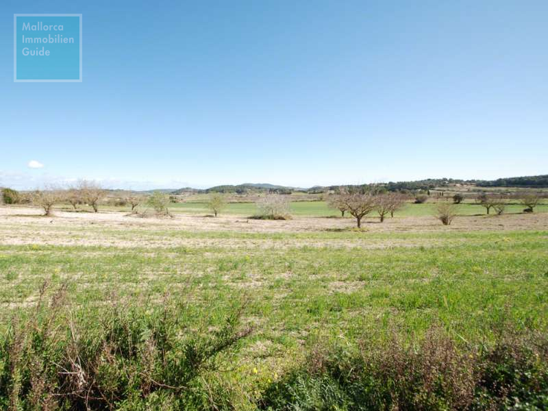 Exclusiva finca nueva con piscina y viñas propias en Porreres. - 1