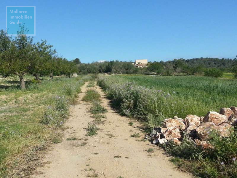 Exclusiva finca nueva con piscina y viñas propias en Porreres. - 8