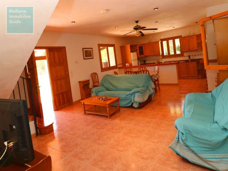 Finca with pool and vacation license !! - 4