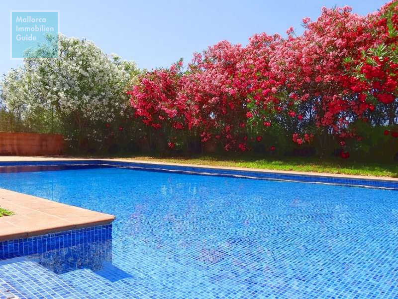 Bonita finca con piscina y licencia vacacional!! - 5