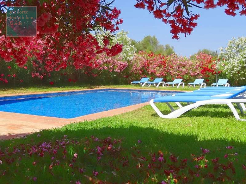 Bonita finca con piscina y licencia vacacional!! - 6