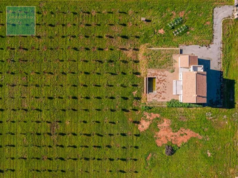 Das Grundstück von oben