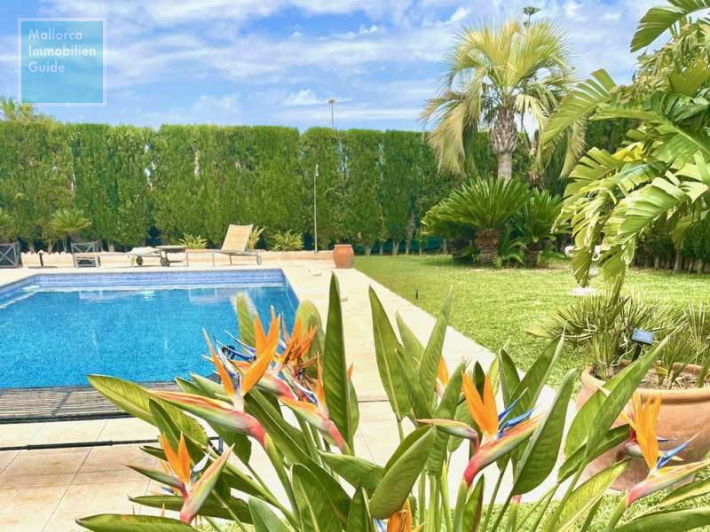 Villa en venta Mallorca: gran selección de top villas 10