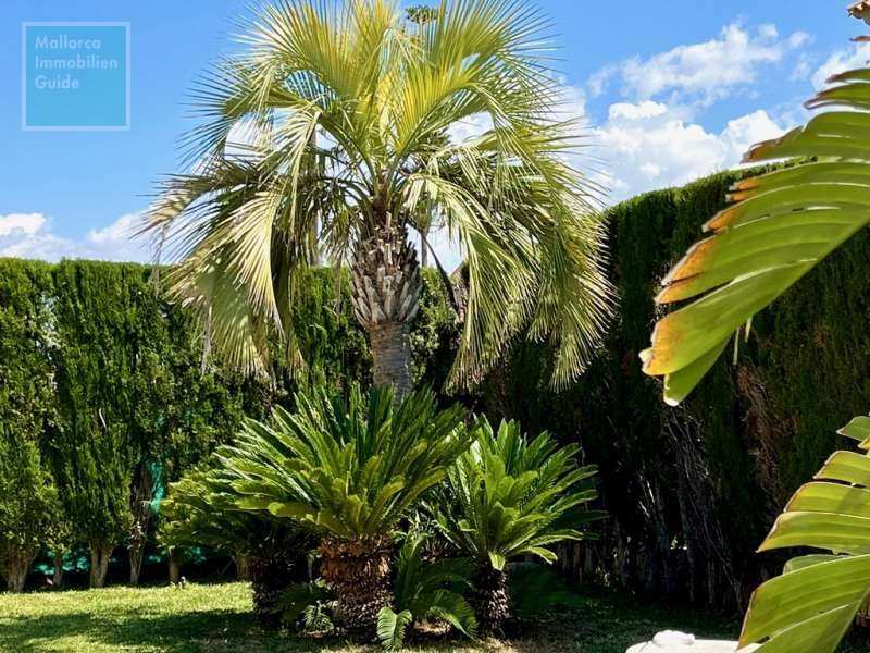 Villa en venta Mallorca: gran selección de top villas 7