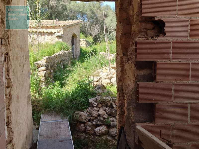 Zugang zur Rückwärtigen Grundstücksanteil im OG