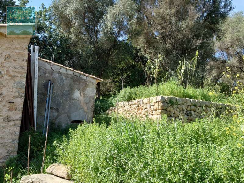 Grundstücksfläche am Haus