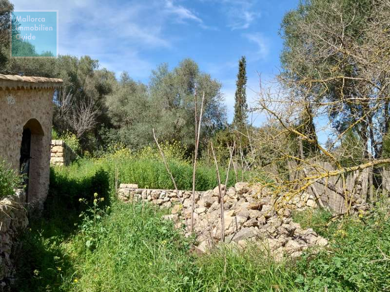 Rückwärtig Grundstücksfläche des Hauses