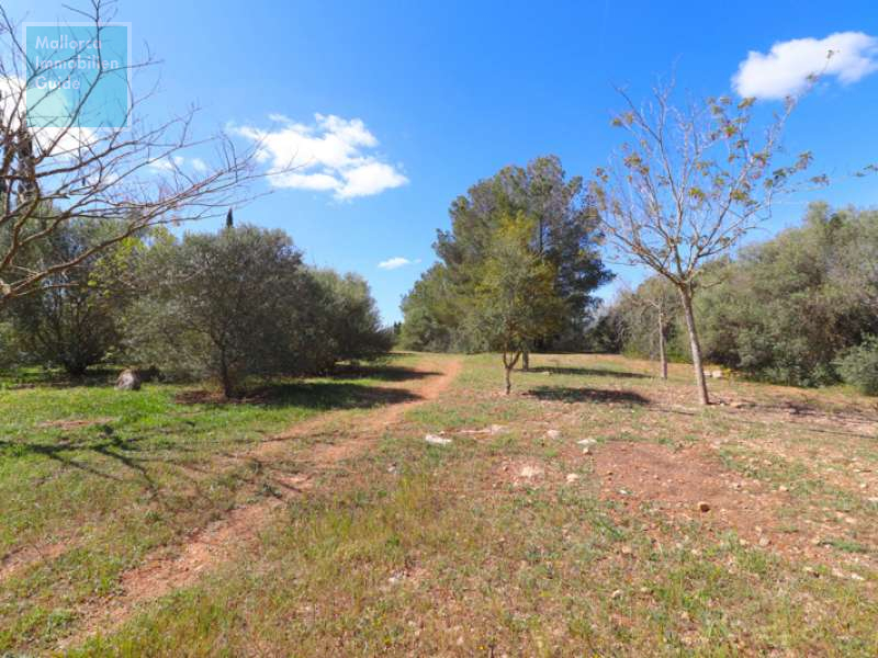 Finca for sale in Mallorca: top offers starting at  275.000 43