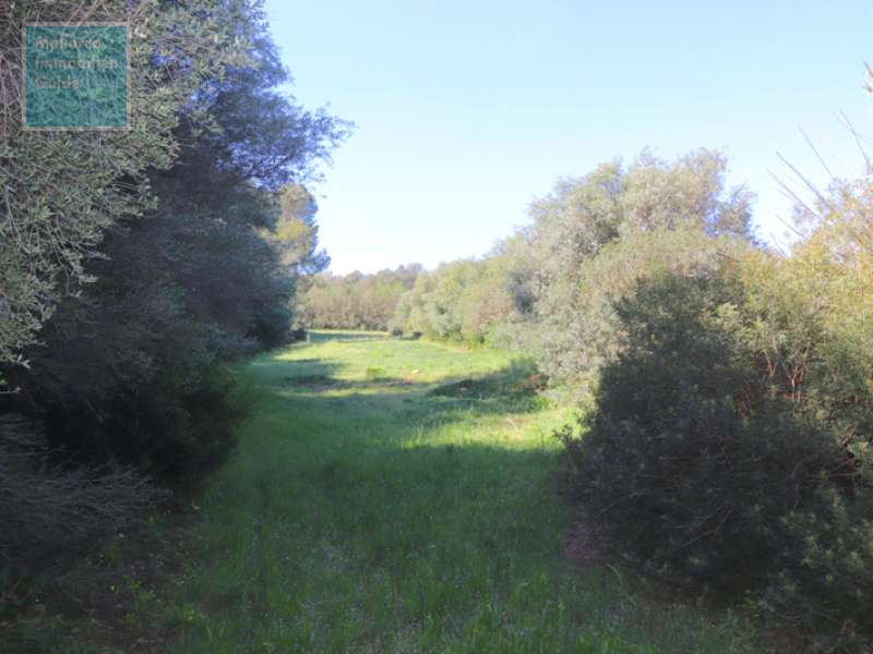 Finca for sale in Mallorca: top offers starting at  275.000 44