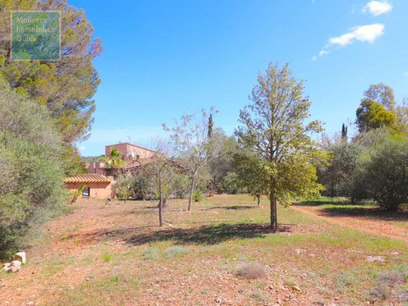 Finca for sale in Mallorca: top offers starting at  275.000 46