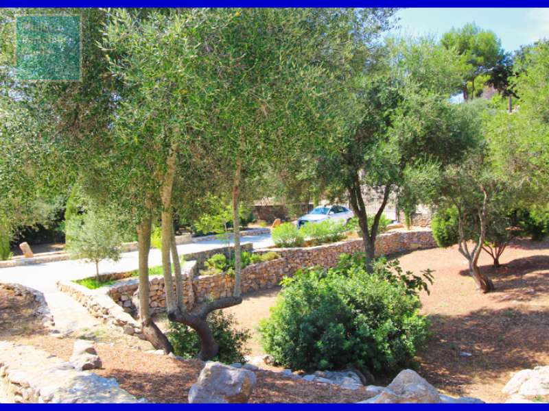 Einfahrt auf das Grundstück