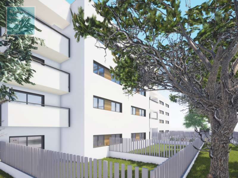 Apartment for sale in Mallorca: wide choice, excellent prices  5