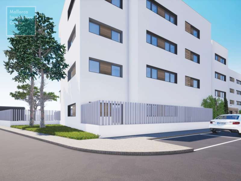 Apartment for sale in Mallorca: wide choice, excellent prices  6