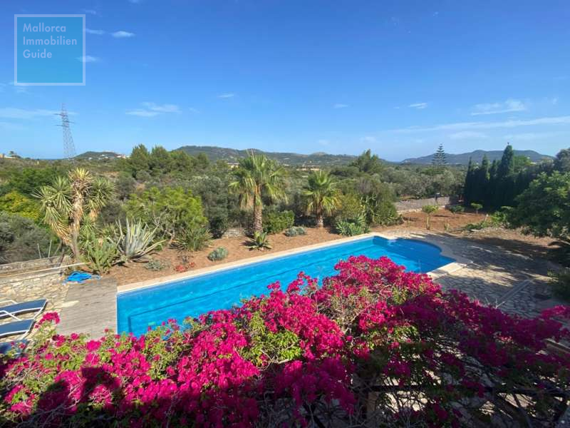 Pool und Grundstück