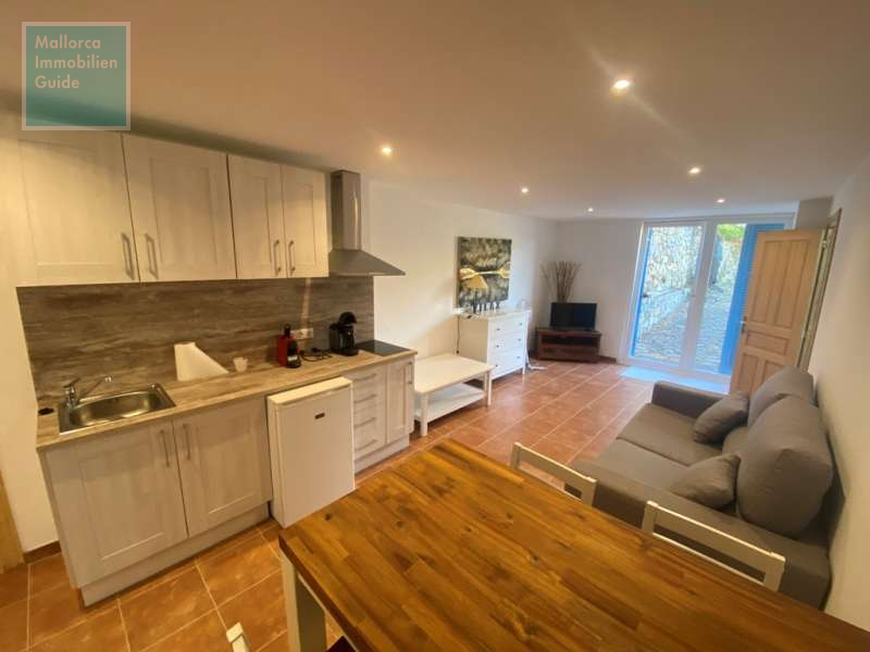 Wohnzimmer mit Küchenzeile