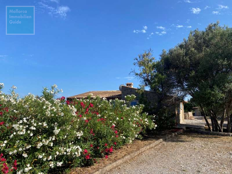 Gartenbereich am Haus