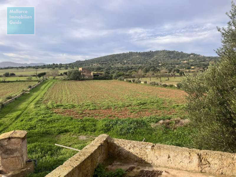 Fincagrundstück, Felanitx