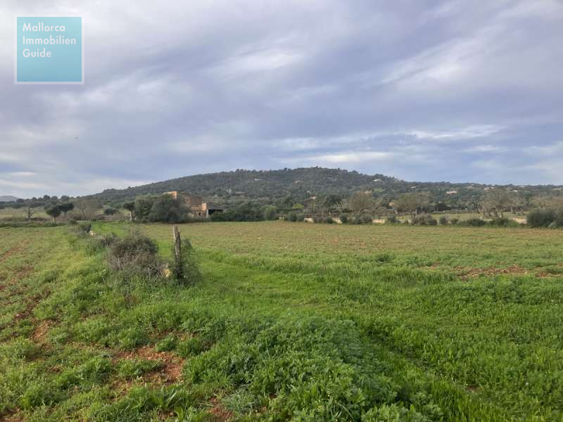 Finca, Baugrundstück