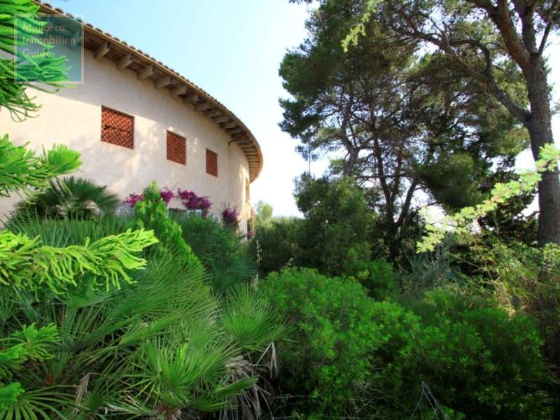 House for sale in Mallorca: wide choice village houses 9