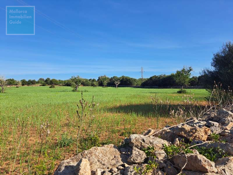 Grundstück in absolut ruhiger Lage