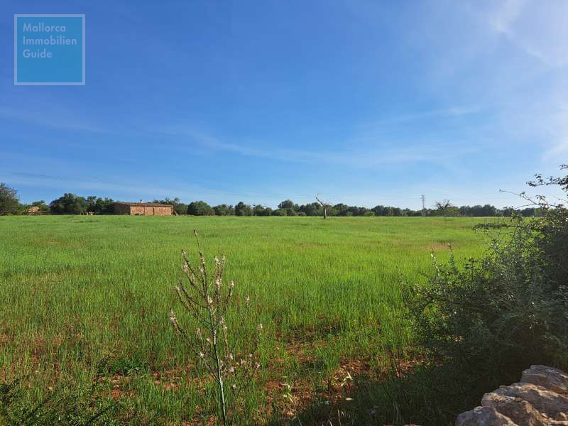 Südausrichtung, flache Topografie