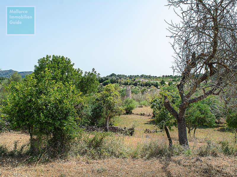 Finca en venta Mallorca: ofertas a partir de  275.000 26