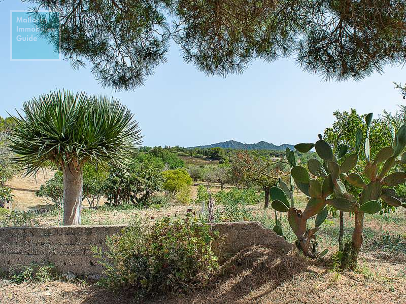 Finca en venta Mallorca: ofertas a partir de  275.000 36