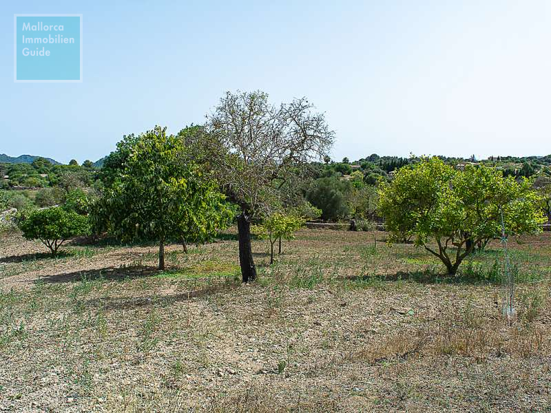 Finca en venta Mallorca: ofertas a partir de  275.000 38