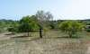 Finca en venta Mallorca: ofertas a partir de  275.000 38