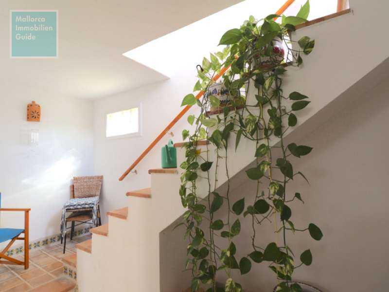 Aufgang zur Dachterrasse