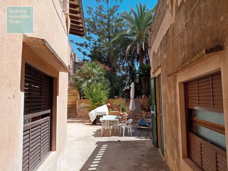 Blick auf die Terrasse und den Garten