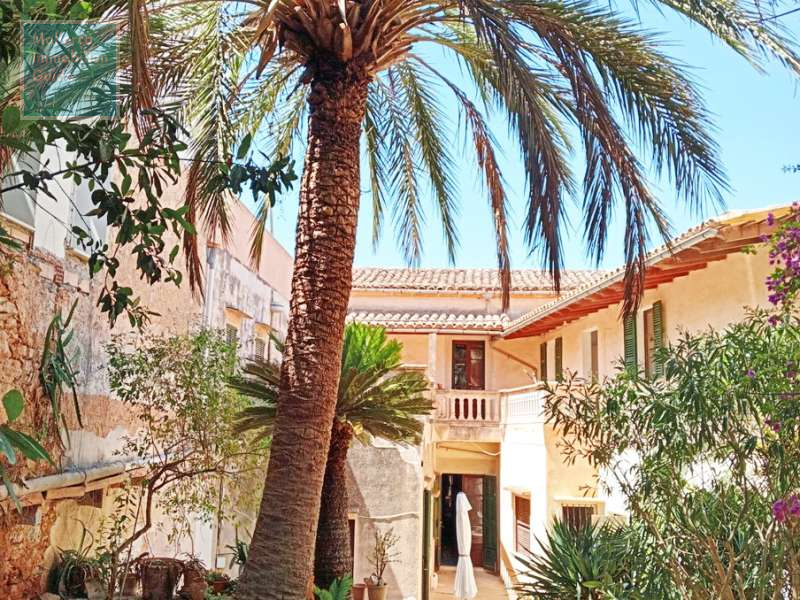 Blick vom Garten auf das Haus