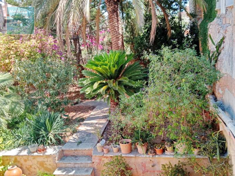 Eingewachsener Garten