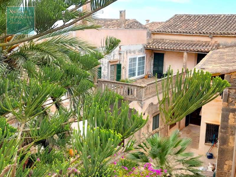 Blick von der Dachterrasse auf den Patio