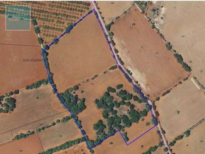 Building plots for sale in Mallorca: prime locations, sea views 3