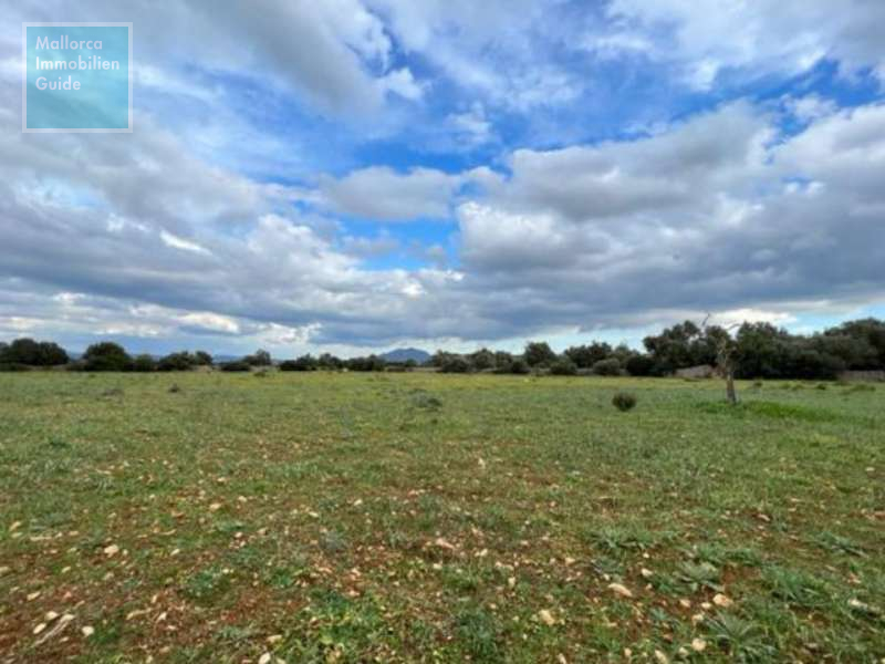 Building plots for sale in Mallorca: prime locations, sea views 4