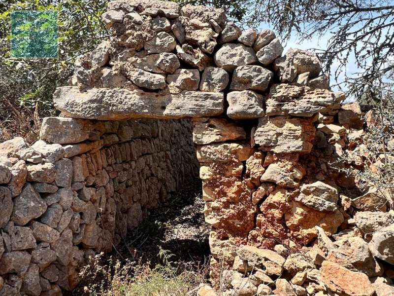 Building plots for sale in Mallorca: prime locations, sea views 5