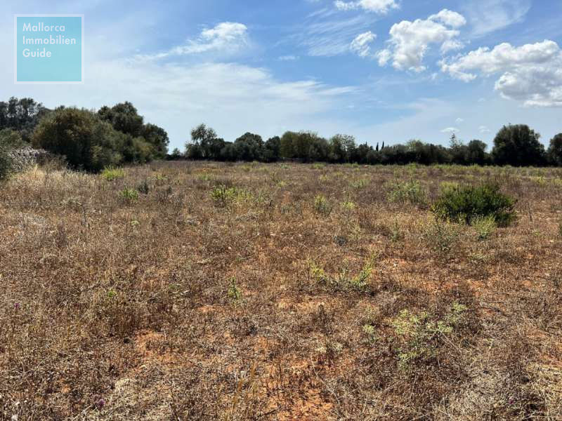 Building plots for sale in Mallorca: prime locations, sea views 6