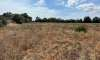 Building plots for sale in Mallorca: prime locations, sea views 6