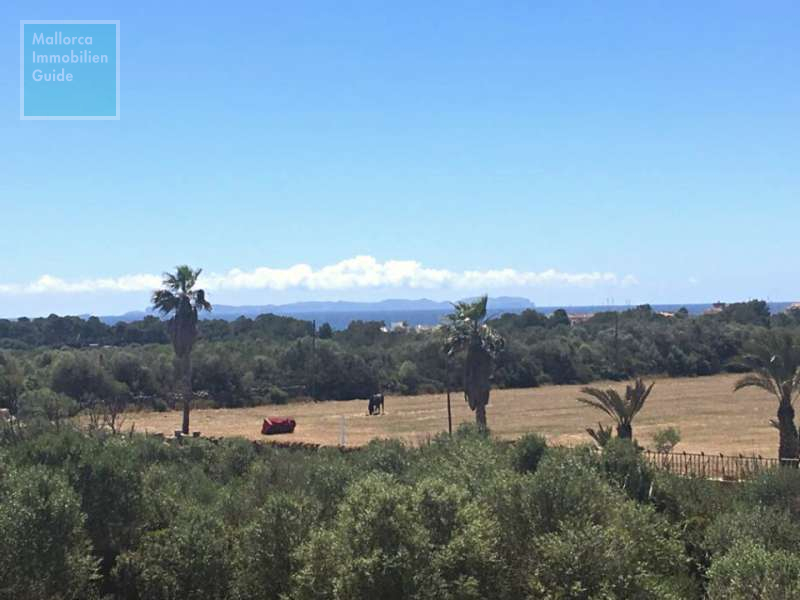 Blick auf die Insel Cabrera