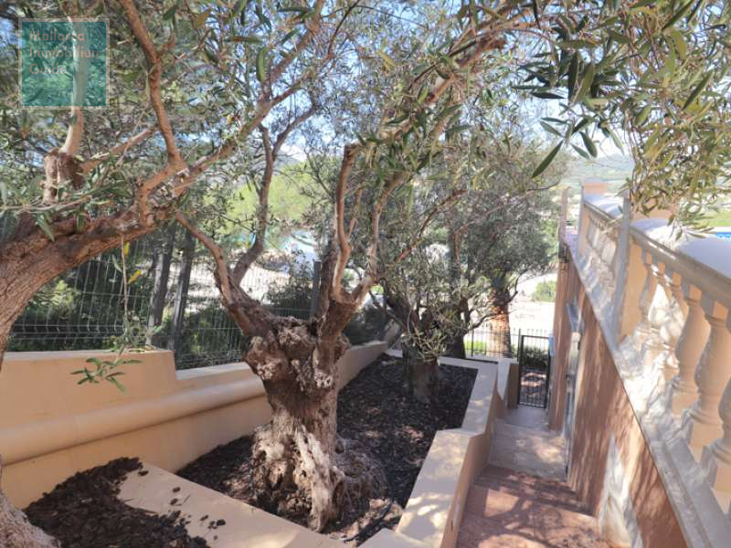 House for sale in Mallorca: wide choice village houses 30