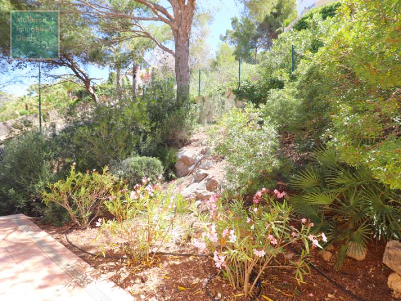 House for sale in Mallorca: wide choice village houses 31
