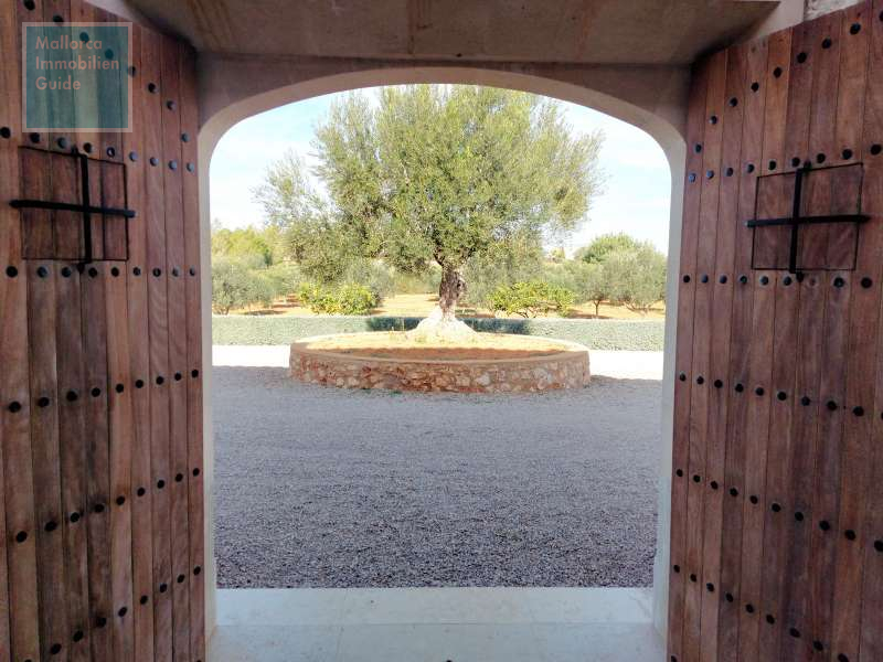 Blick auf den Vorplatz